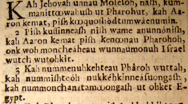 Detail view of a page from the Eliot Indian Bible of 1663. Collection of the author.