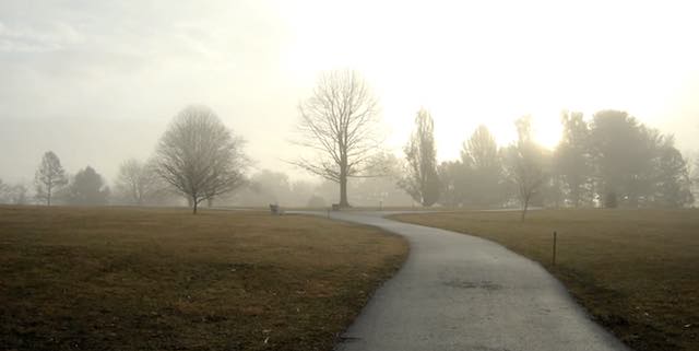 Comfort from the Holy Bible