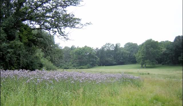 Comfort from the Holy Bible