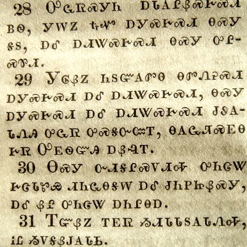 Detail from the 1860 Cherokee Bible, published by the American Bible Society. Collection of the author.