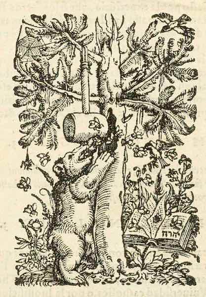 La Biblia del Oso: The Bible of the Bear. 1569. Illustration. Collection of the Author.