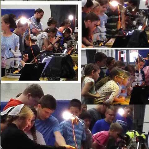 Students view items from the Celebrate the Bible collection during a school exhibit.